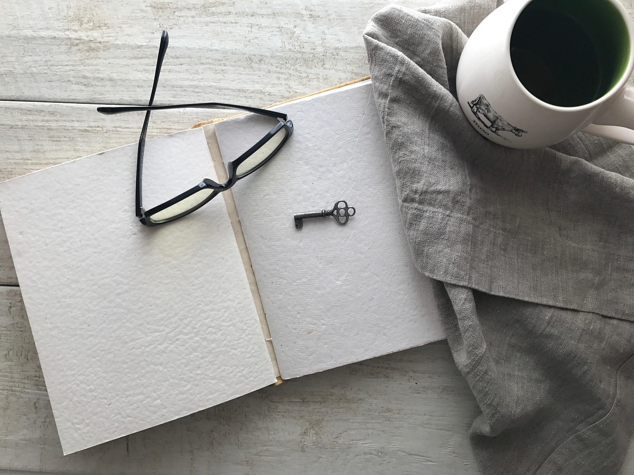 What readers should know before reading expert opinions
